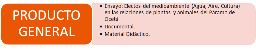 planteamientos oceta 2