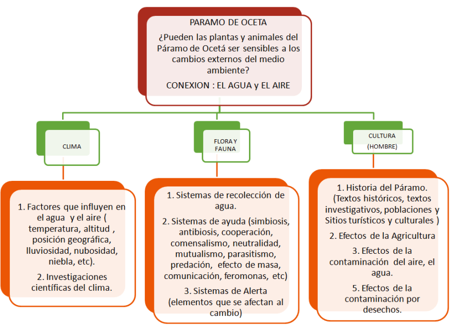 planteamientos oceta