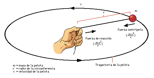 fuerzas-intervienen-en-movimiento-circular